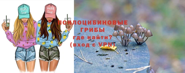 скорость Ладушкин