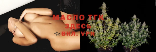 индика Лабытнанги