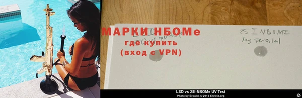 индика Лабытнанги