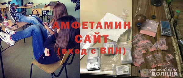 индика Лабытнанги