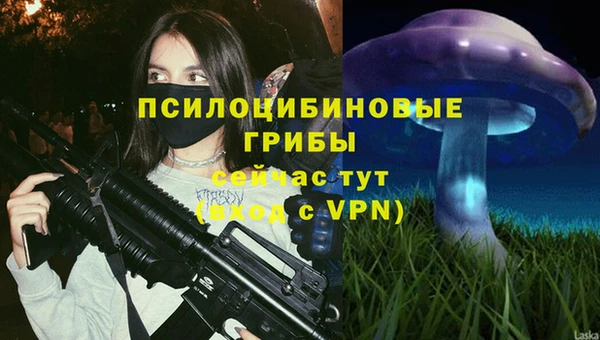 скорость Ладушкин