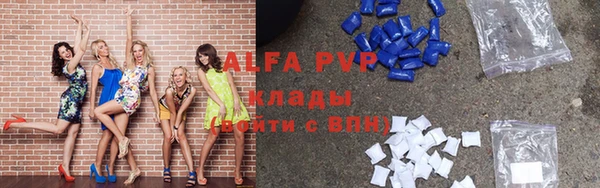 индика Лабытнанги