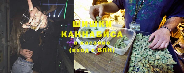 индика Лабытнанги