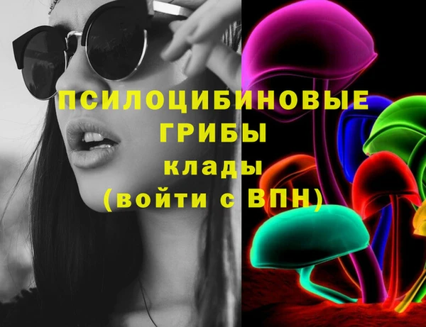 скорость Ладушкин