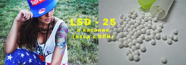индика Лабытнанги