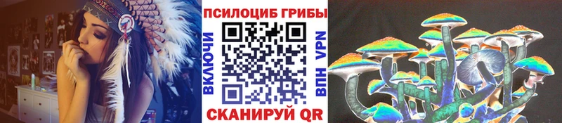 Псилоцибиновые грибы Psilocybine cubensis Ачхой-Мартан